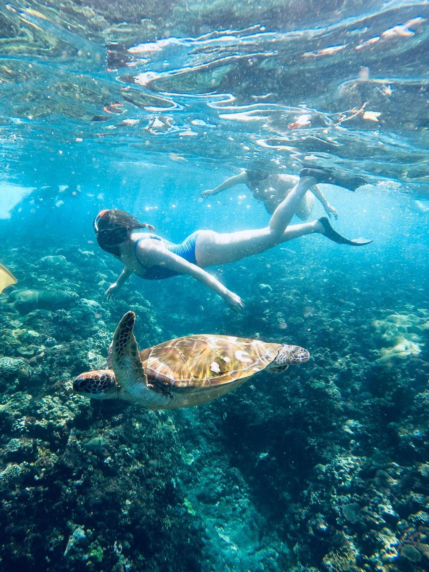 Willa The Edge Lembongan Zewnętrze zdjęcie