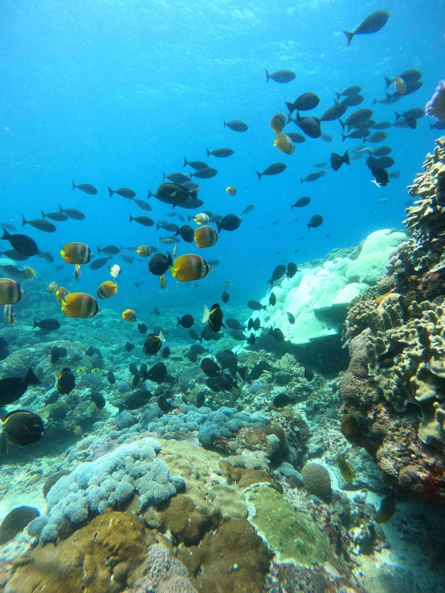 Willa The Edge Lembongan Zewnętrze zdjęcie